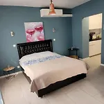 Dokstudio50